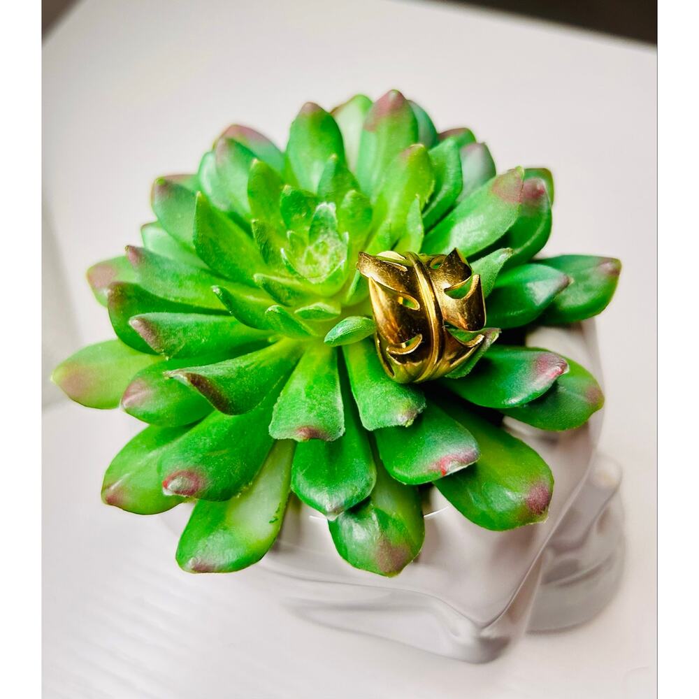 Monstera Leaf Jewelry Set 🌿 Gold Earrings + Ring Size 7 - Picture 7 of 11